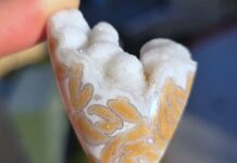 Youngite: How to Cut and Polish Cabbed youngite specimen with an exposed druzy top.